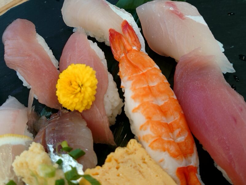 『地魚寿司セット』