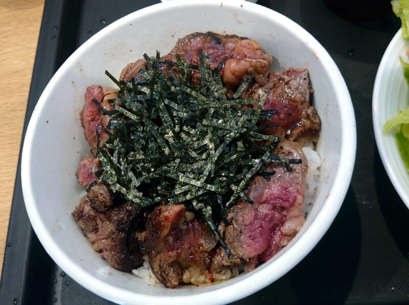 『ヒレステーキ丼（並盛）』