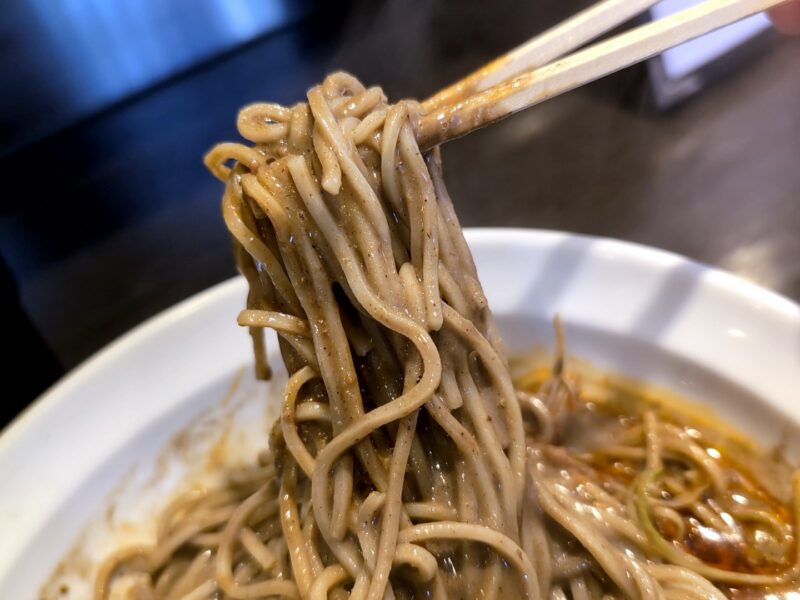 『【数量限定】濃厚煮干担々麺』